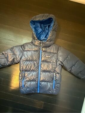 Patagonia Hi-Loft Down Coat